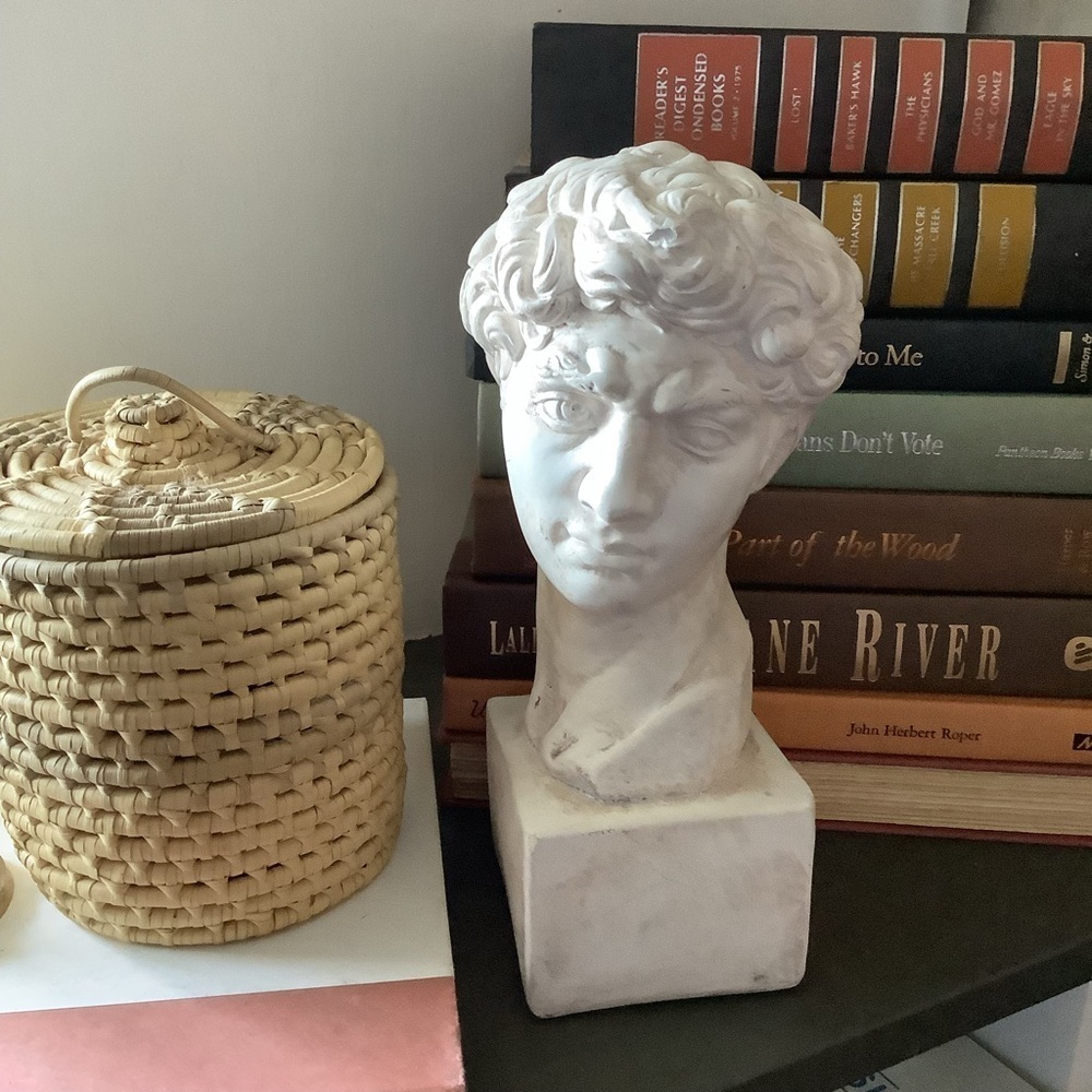 Vintage Plaster Chalk Bust Michelangelo’s David